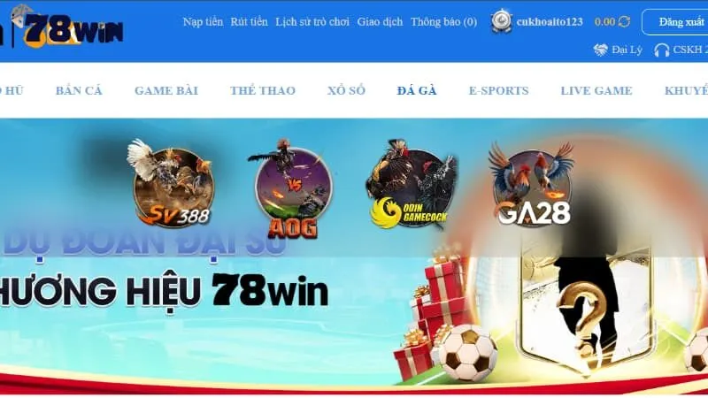 Khái quát chi tiết về khái niệm đá gà
